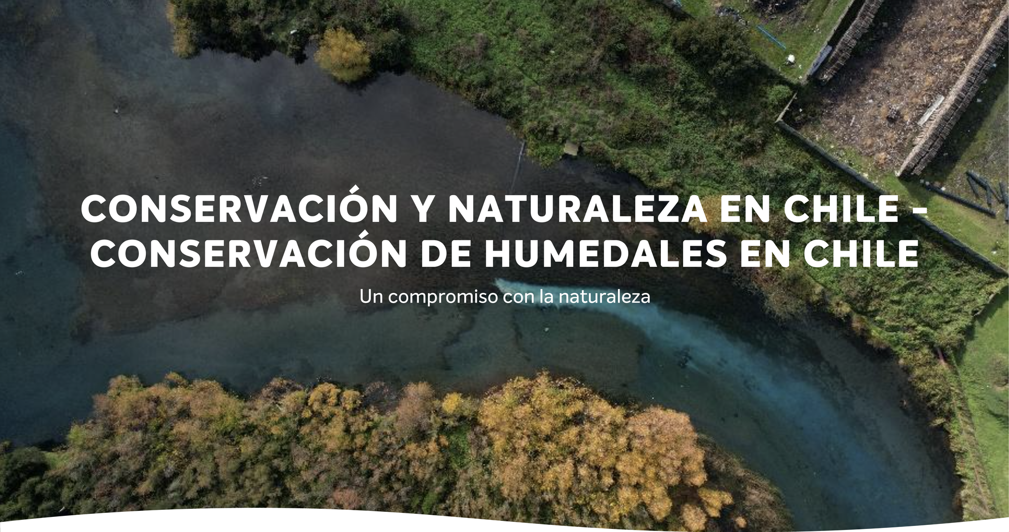Conservación y Naturaleza en Chile - Conservación de Humedales en Chile: Un Compromiso con la Naturaleza